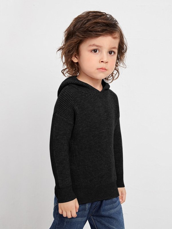Toddler Boys Drop Shoulder Hooded Sweater SHE01
