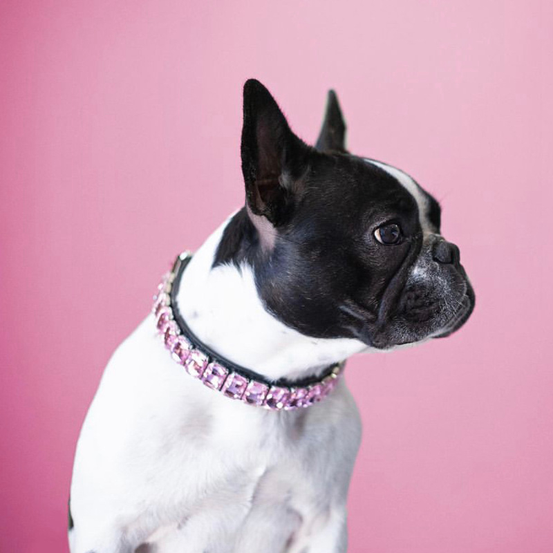 free shipping Crystal Collars Jewelry Bling Gemstone Leather Collar for Small Medium Dogs Teacup Puppy Chihuahua Yorkie French Bulldog Wedding Birthda