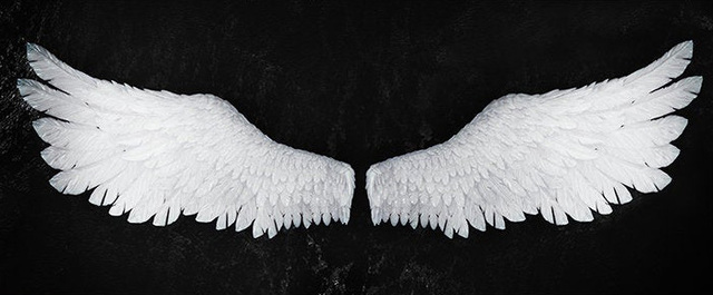 Abstract Canvas Paintings Wall Art Angel Wings Canvas Art Posters And Prints Wings Pictures For Living Room Home Decor Cuadros