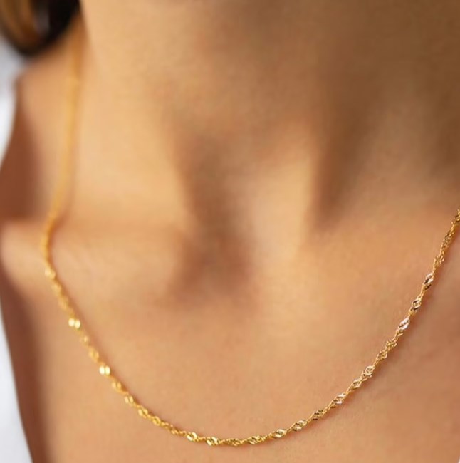 2MM Stainless Steel Twist Thin Rope Chain Choker Layered Hip Hop Men Women 18K Gold Silver Chain Necklace Cool Young Jewelry Nice Gift 16 18 20 22 24 