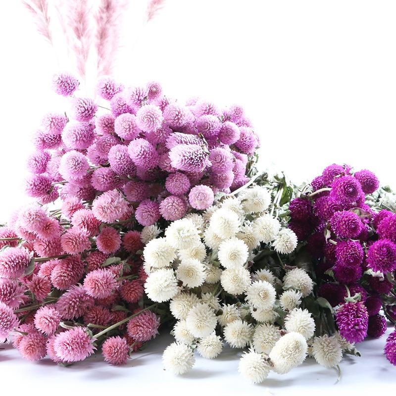 Decorative Flowers & Wreaths 20Pcs Small Strawberry Fruit Grass Natural Dry Flower Artificial Plant Wedding Bouquet Mariage Room Home Decora, Blue
Decorative Flowers & Wreaths 20Pcs Small Strawberry Fruit Grass Natural Dry Flower Artificial Plant Wedding Bouquet Mariage Room Home Decora, Blue