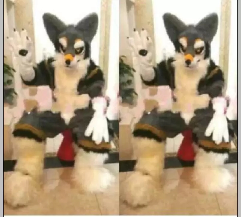 Mascot Costumes Gray Long Fur Furry Husky Dog Fox Wolf Mascot Costume Fursuit Adult Cartoon Christmas present, As pic
Mascot Costumes Gray Long Fur Furry Husky Dog Fox Wolf Mascot Costume Fursuit Adult Cartoon Christmas present, As pic