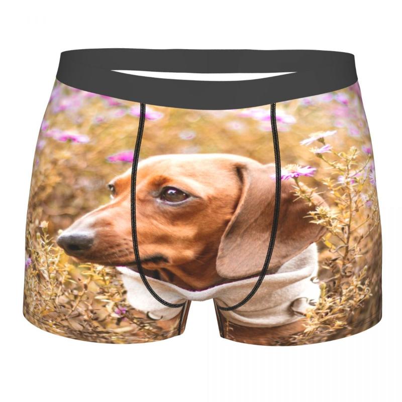 Underpants Underwear Men Boxers Dog On The Field Sexy Boxer Male Panties Boxershorts Homme, Black;white
Underpants Underwear Men Boxers Dog On The Field Sexy Boxer Male Panties Boxershorts Homme, Black;white