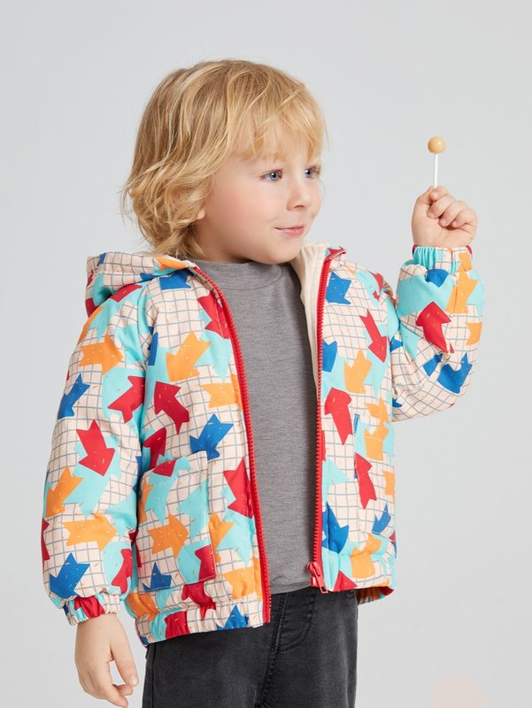 Toddler Boys Geo & Windowpane Print Raglan Sleeve Zipper Hooded Puffer Coat SHE