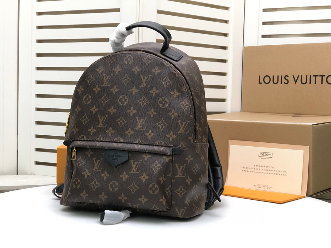 Louis Vuitton Backp… - image