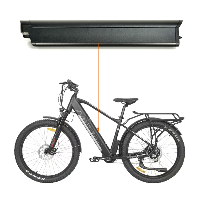 Reention EEL PRO battery 36v 10.4ah 11.6ah 13ah 13.6ah 14.5ah 17ah inner batteria for rear rack battries 350w 250w with charger