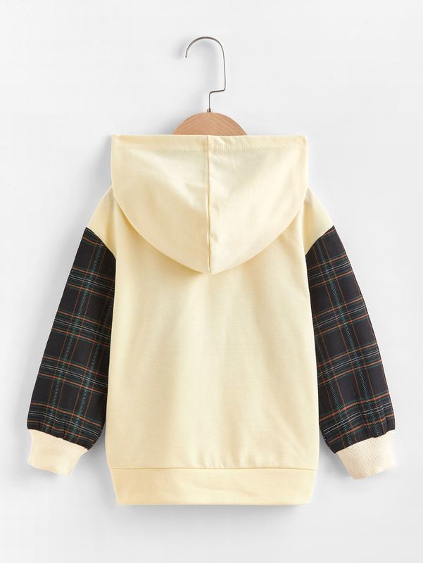 Toddler Boys 2pcs Bear And Plaid Print Drop Shoulder Hoodie SHE