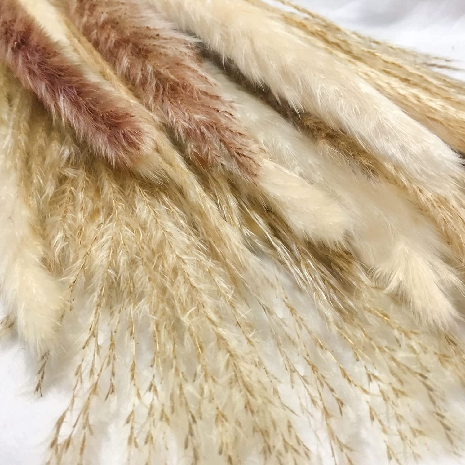 80 Pcs Dried Pampas Decor Natural Brown White Pompous Grass Dried Bunny Tails Wheat Reed Boho Home Wedding Flower Arrangement5685781