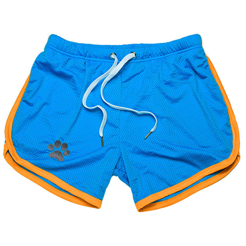 Summer Men Gym Fitness Shorts Bodybuilding sports Jogging shorts Male Cool Breathable Mesh casual men Shorts Sweatpants 220507