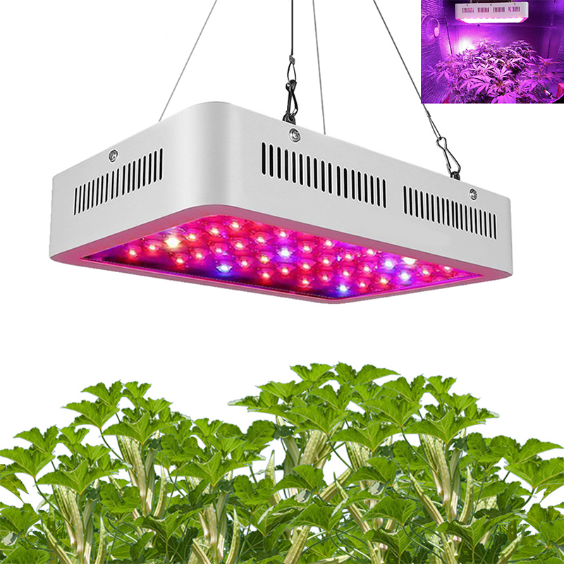 Grow Light 600W 1000W 1200W 1500W Full Spectrum Tent Covered Green houses Lamp Plant AC85-265V Indoor Lighting For Veg Flowering Aluminium
Grow Light 600W 1000W 1200W 1500W Full Spectrum Tent Covered Green houses Lamp Plant AC85-265V Indoor Lighting For Veg Flowering Aluminium
