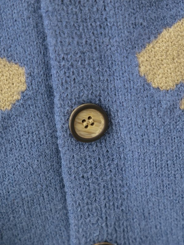 Toddler Boys Dinosaur Pattern Dual Pocket Button Front Cardigan SHE