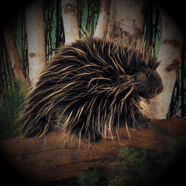 Simulation Porcupine Animals Plush Toy Doll Children Kids Boys Girls Birthday Gift 20cm PP Cotton Cute Soft Pillow
