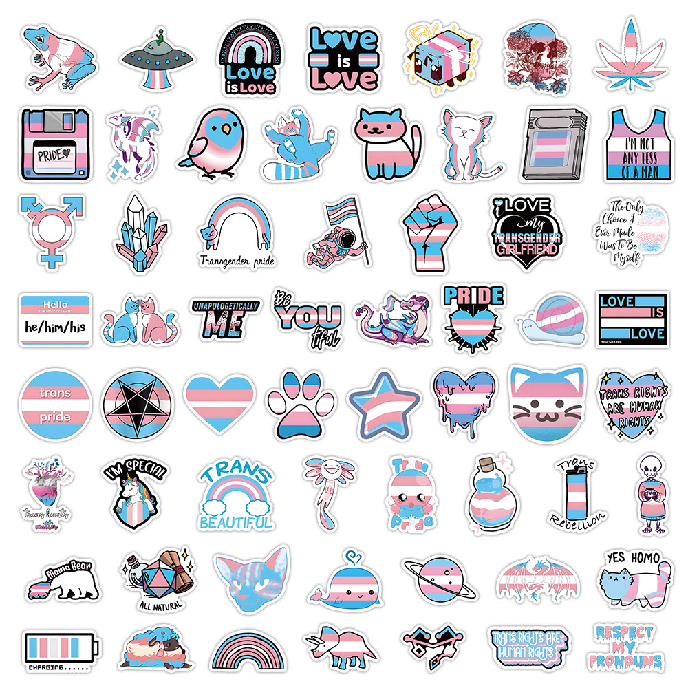 60Pcs Transgender Pride Stickers Graffiti Kids Toy Skateboard car Motorcycle Bicycle Sticker Decals Wholesale