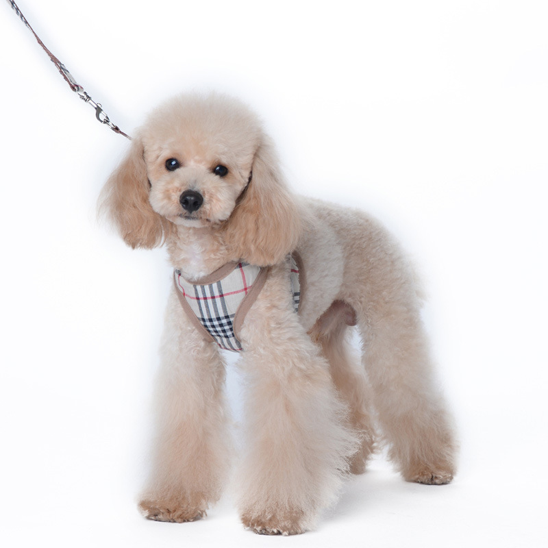 Designer Dog Harness Leashes Set Soft Air Mesh Pet Vest Classic Jacquard Lettering Step-in Dog Harnesses for Dogs Cat Teacup Puppies Shih Tzu Poodle Pink XS
Designer Dog Harness Leashes Set Soft Air Mesh Pet Vest Classic Jacquard Lettering Step-in Dog Harnesses for Dogs Cat Teacup Puppies Shih Tzu Poodle Pink XS