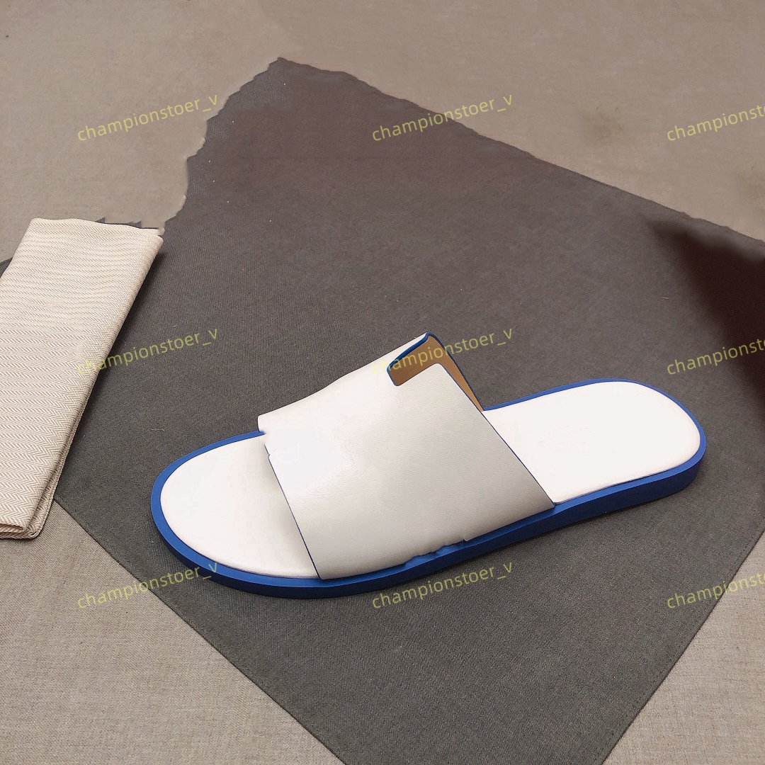 Fashion Paris Luxury Designer Men Slippers Oran Heritage Calfskin Sandals Izmir Flip Flop Men Large 38-46