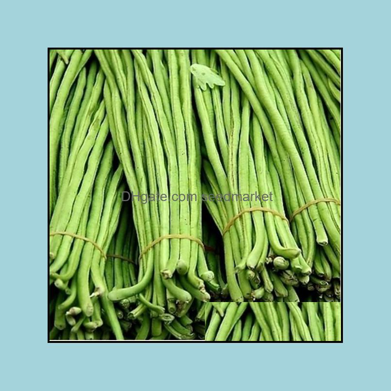 Other Garden Supplies Patio Lawn Home 30Pcs Seeds Rushed Direct Selling Summer Vegetable Bonsai Specialty Bea Otdaz
Other Garden Supplies Patio Lawn Home 30Pcs Seeds Rushed Direct Selling Summer Vegetable Bonsai Specialty Bea Otdaz