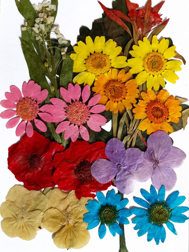 Decorative Flowers & Wreaths Pressed Real Small Flower Assorted Color Mix Dried Preserved Wildflower Jewelry Nail Art Decoration Resin Filli, Pf07-colorful
Decorative Flowers & Wreaths Pressed Real Small Flower Assorted Color Mix Dried Preserved Wildflower Jewelry Nail Art Decoration Resin Filli, Pf07-colorful