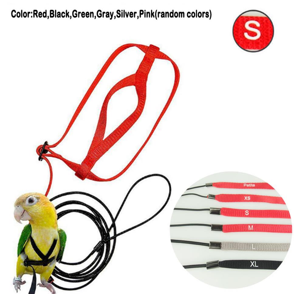The AVIATOR Bird Harness and Leashes by The Parrot University Adjustable Parrots Bird Harness Leash Anti-Bite Training Rope Outdoo231d
The AVIATOR Bird Harness and Leashes by The Parrot University Adjustable Parrots Bird Harness Leash Anti-Bite Training Rope Outdoo231d