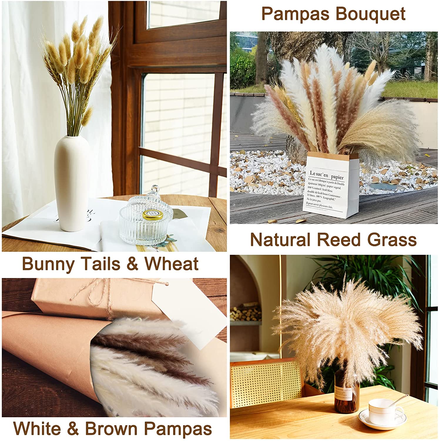 80 Pcs Dried Pampas Decor Natural Brown White Pompous Grass Dried Bunny Tails Wheat Reed Boho Home Wedding Flower Arrangement5685781