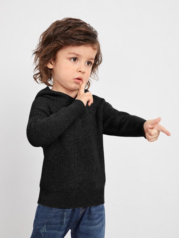 Toddler Boys Drop Shoulder Hooded Sweater SHE01