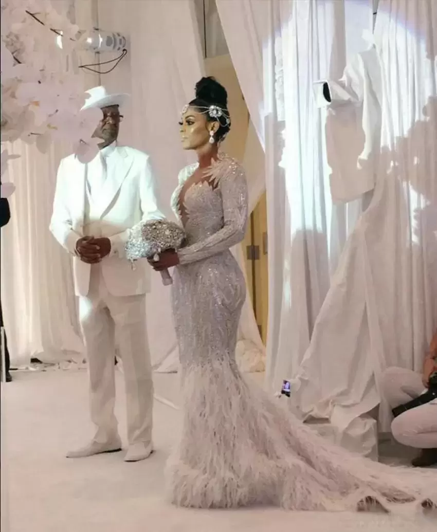 2022 Mermaid Wedding Dresses Bridal Gown Long Sleeves Feather Lace Applique Sweep Train Custom Made Vestido De Novia Plus Size Beach Country Castle