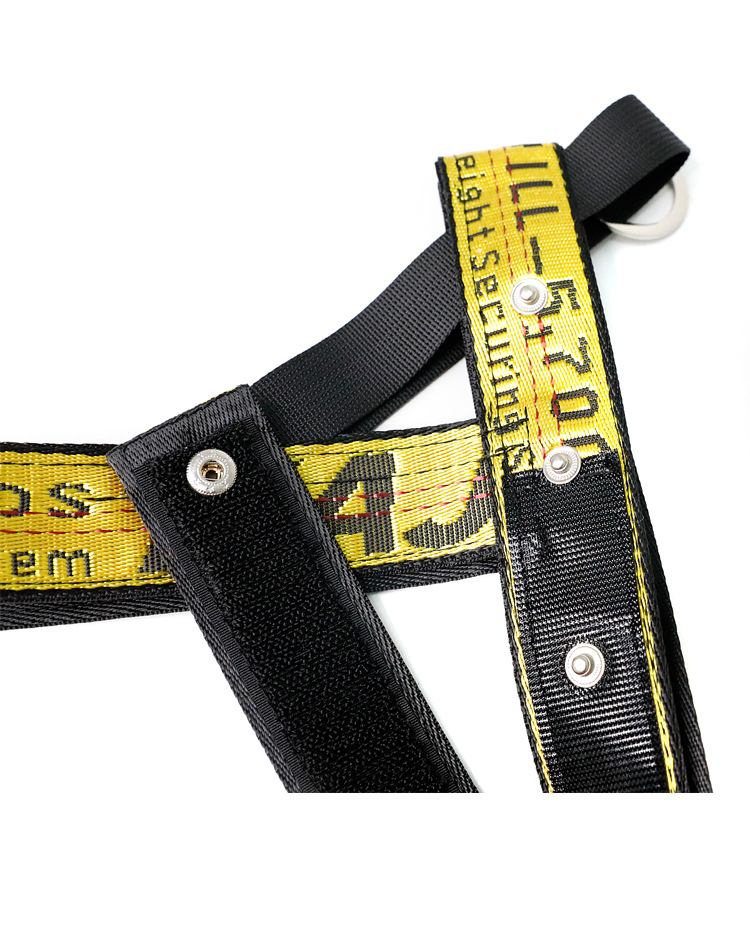 free shipping No Pull Harness and Leashes Set Grande Durable Gold Chain Nylon Pets Dog Collar Leash Long Rope Lettered Collars for Small Medium Large 