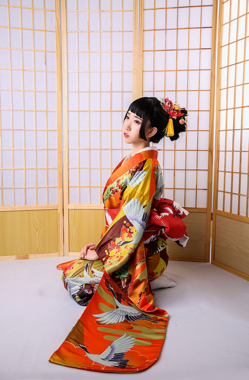 Ethnic Clothing Vibration sleeve women kimono formal dress autumn winter thickened fabric object auspicious cloud crane brocade show Kimonno