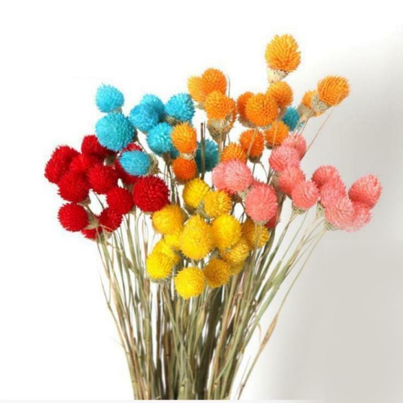 Decorative Flowers & Wreaths Natural Dried Pine Cones Wedding Decorations Ornament Florists Home Decor Crafts Artificial Branch White DIY
Decorative Flowers & Wreaths Natural Dried Pine Cones Wedding Decorations Ornament Florists Home Decor Crafts Artificial Branch White DIY