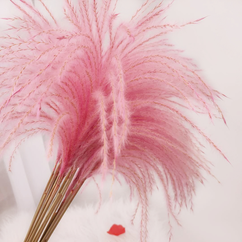 Dried Flower 50Pcs/lot Wholesale Phrag Mites Natural Decorative Pampas Grass For Home Wedding Decoration Flowers Bunch 56-60cm