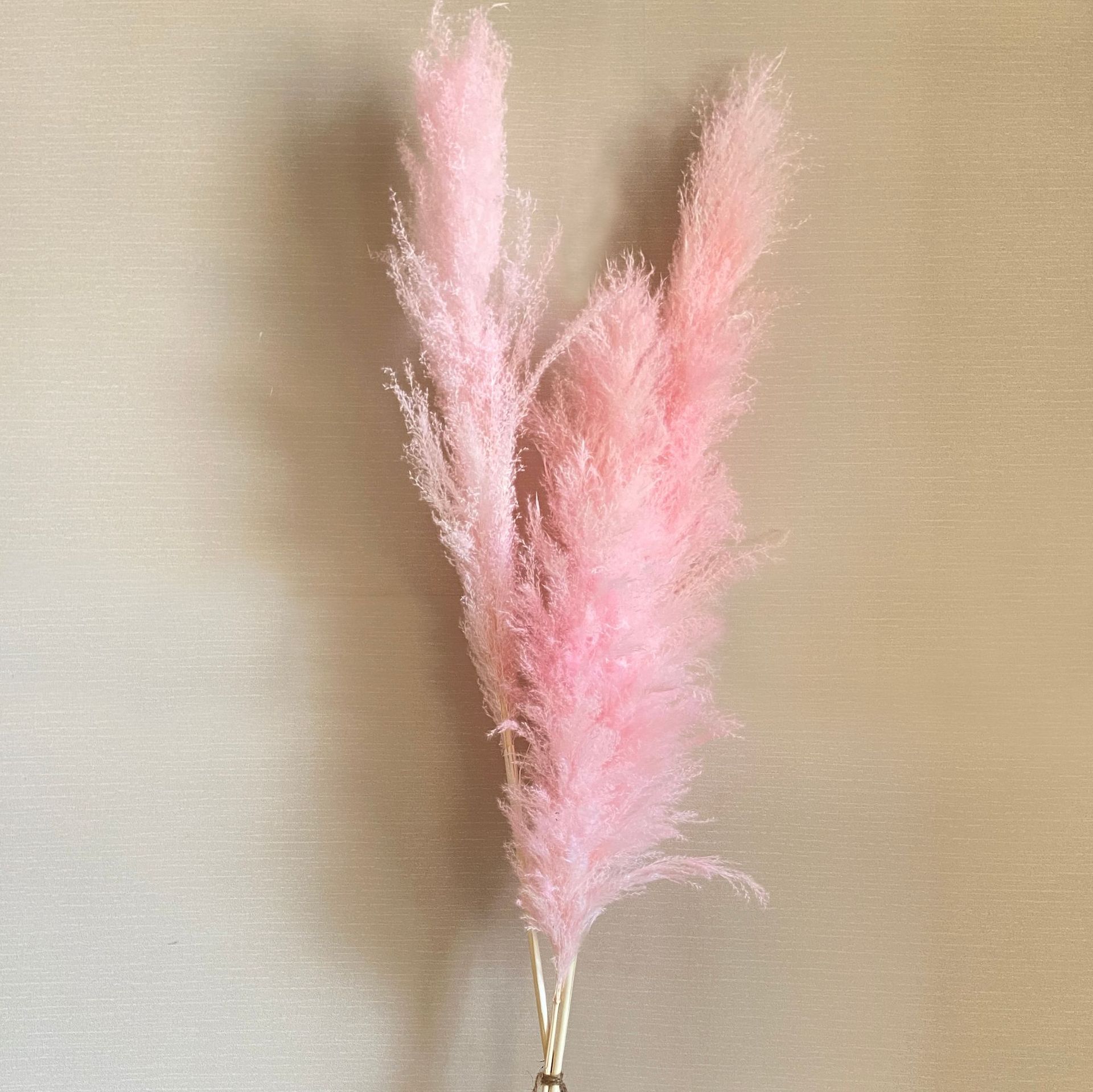 DIY white pink Real Dried Pampas Grass Decor Wedding Flower Bunch Natural Plants Fall Decor For Home Christmas gift