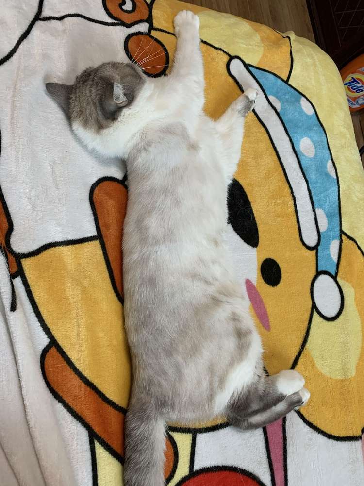 Test yuosku danbeihuo444444