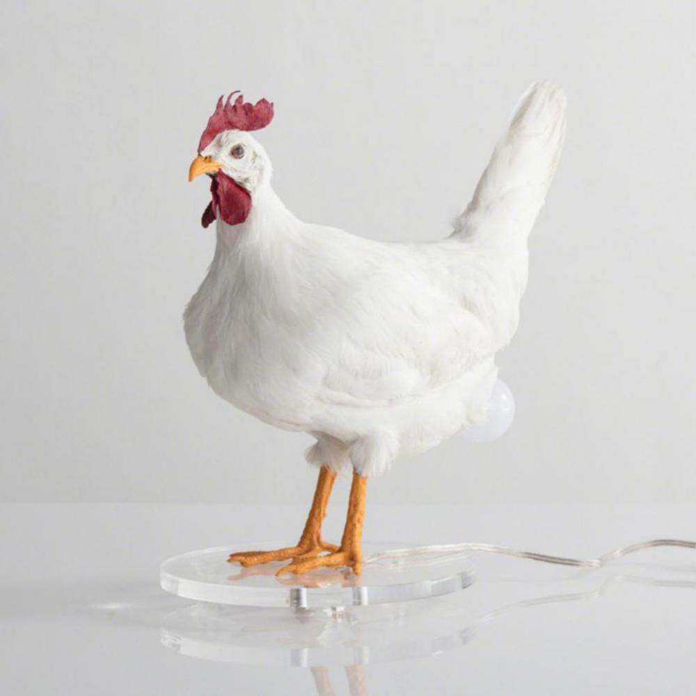 Taxidermy Chicken Lamp Decoration Room Night Lights Simulation Laying Hens Light Animal Chicken Eggs Lamp Party Home Decoration