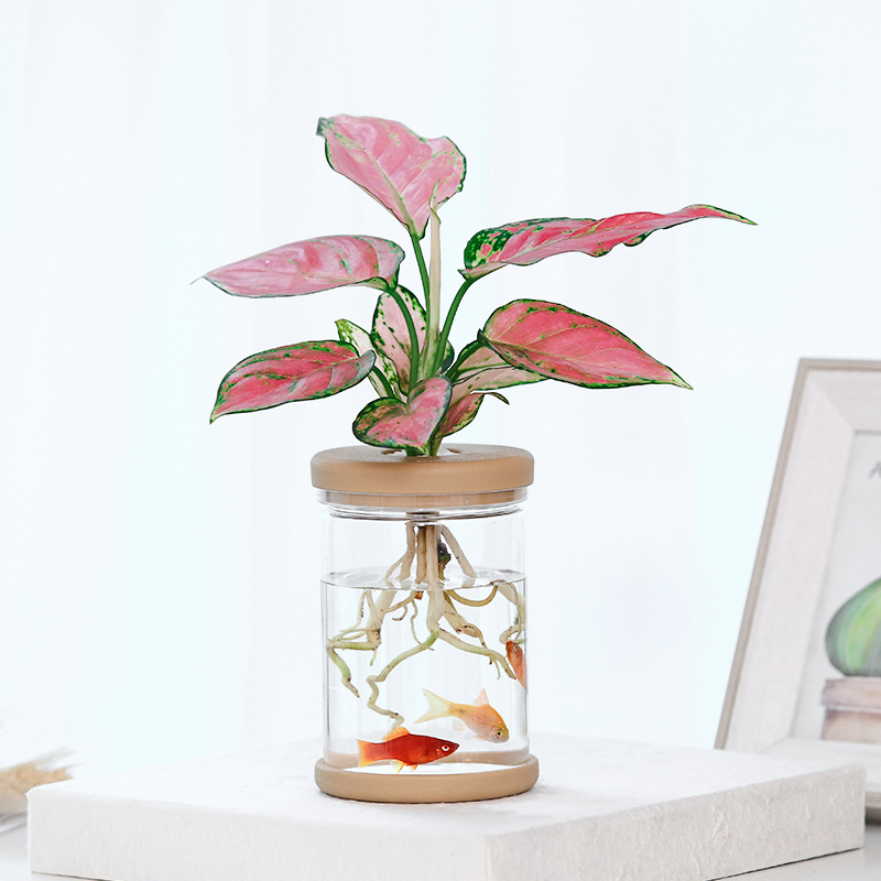 Transparent Hydroponic vase Imitation Glass Soilless Planting Potted Green Plant Resin Flower Pot Home Vase Decor
Transparent Hydroponic vase Imitation Glass Soilless Planting Potted Green Plant Resin Flower Pot Home Vase Decor