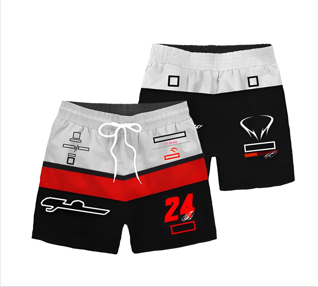 Summer new 2025 f1 racing shorts Formula 1 team men's clothes fans clothing casual breathable beach pants free shipping