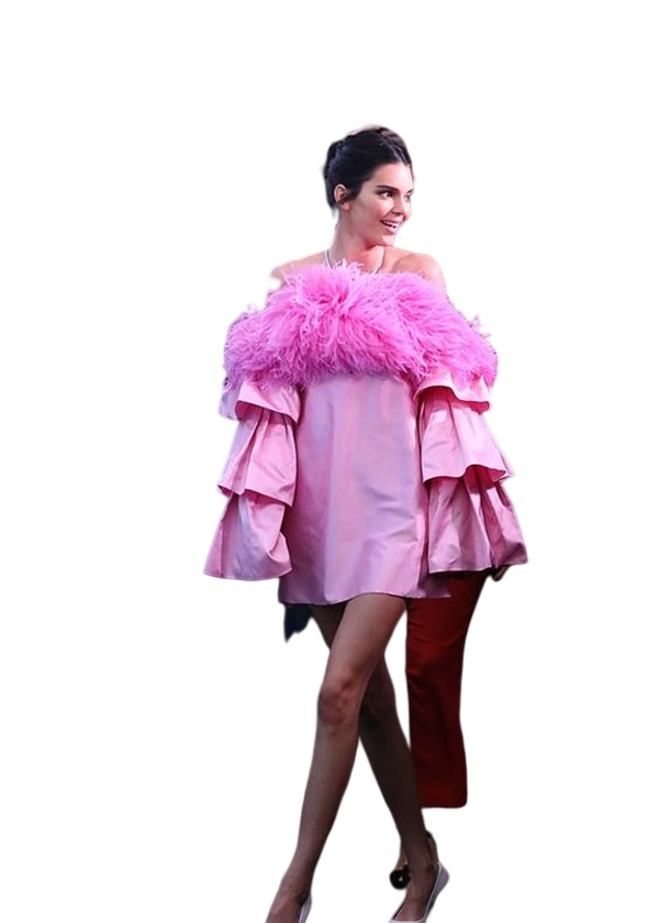 Fuchsia Stain Feather Short Prom Cocktail Dresses Kendall Jenner 2022 Long Sleeve Off Shoulder Red Carpet Celebrity Evening Gown