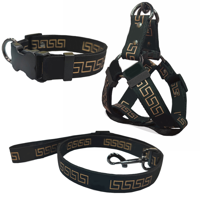 

Dog Collars Leashes Set Designer Dog Harness Leash Seat Belts Pet Collar and Pets Chain for  Medium Large Dogs French Bulldog Poodle Corgi Pug Golden Black B34