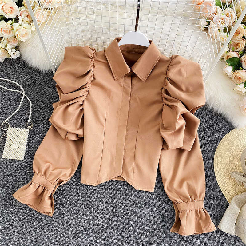 Spring and Fall New Elegant Retro Ruched Puff sleeve Shirt Women Lapel Single-breasted Long Sleeve Short Blouse Trend 2022, Same as picture
Spring and Fall New Elegant Retro Ruched Puff sleeve Shirt Women Lapel Single-breasted Long Sleeve Short Blouse Trend 2022, Same as picture