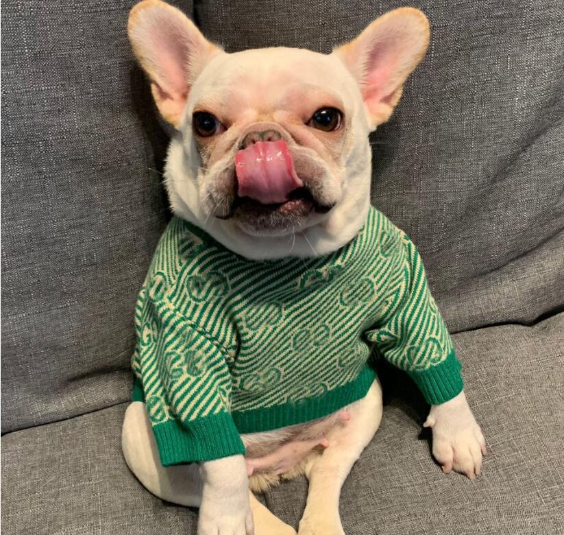 Fashion Autumn Dog Apparel Letter Puppy Pets Sweater Designers Pet Green Pet Hoodies Outerwears b
Fashion Autumn Dog Apparel Letter Puppy Pets Sweater Designers Pet Green Pet Hoodies Outerwears b