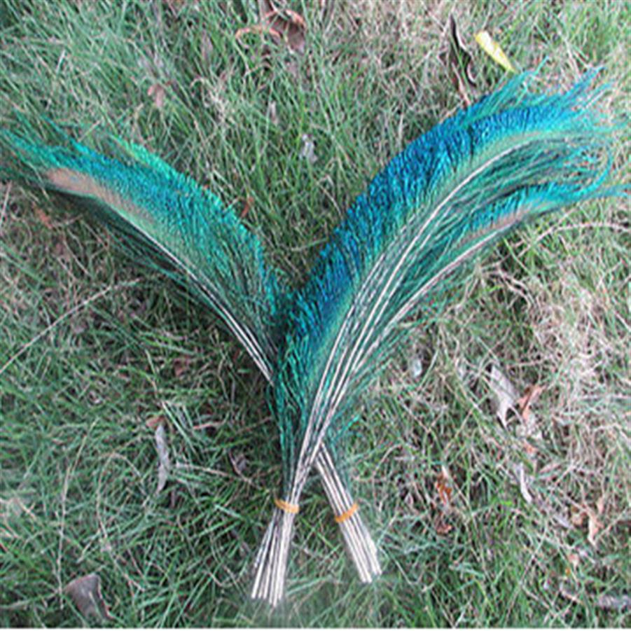 whole 1000 PCS Peacock sword fern feather 25-30cm 10-12inch Wedding centerpiece decor298Y
whole 1000 PCS Peacock sword fern feather 25-30cm 10-12inch Wedding centerpiece decor298Y