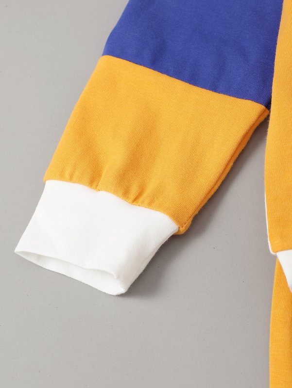 Toddler Boys Letter Graphic Colorblock Raglan Sleeve Hoodie & Sweatpants SHE