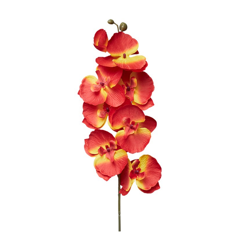 70cm Artificial Butterfly Orchid Silk Flower Wisteria Phalaenopsis 93cm Long Home Garden Party Wedding Decoration Flowers Dinner Centerpiece Decor DIY