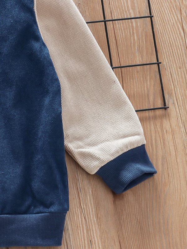 Toddler Boys 1pc Cut And Sew Corduroy Button Up Bomber Jacket SHE