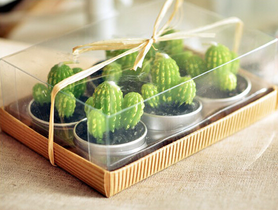 Whole Rare Mini Cactus Candles Plant Decor Home Table Garden 6pcslot kawaii Decoration Factory expert design Quali5392047