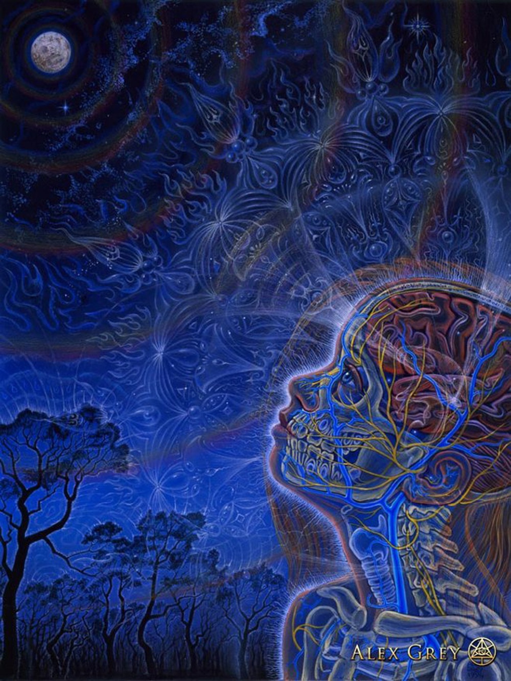 poster 32x24" 17x13" Trippy Alex Grey Wall Poster Print Home Decor Wall Stickers poster Decal--043
poster 32x24" 17x13" Trippy Alex Grey Wall Poster Print Home Decor Wall Stickers poster Decal--043