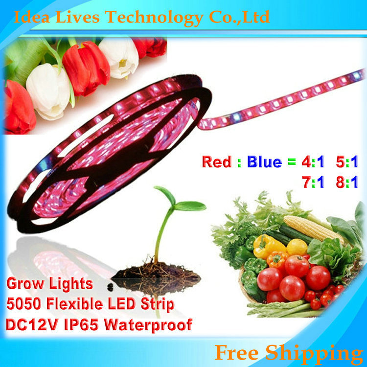 Wholesale-5m 5050 DC12V LED Strip plant grow lights Red Blue 4:1,5:1,7:1,8:1 for greenhouse Hydroponic plant Growing,5m/lot
Wholesale-5m 5050 DC12V LED Strip plant grow lights Red Blue 4:1,5:1,7:1,8:1 for greenhouse Hydroponic plant Growing,5m/lot