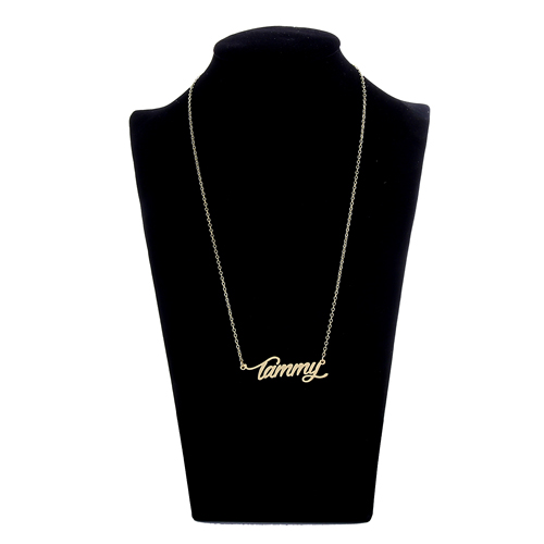 Tammy Personalized Name Necklace for Women Stainless Steel Nameplate Necklaces - 18K Gold Plated Minimalist Jewelry Gift for Her