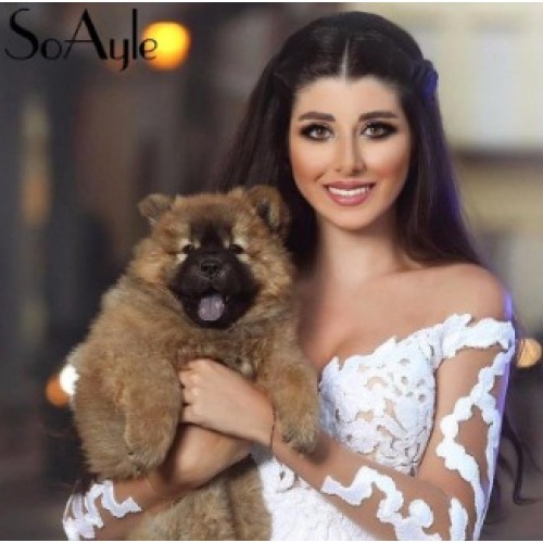 Arabic White Elegant Off The Shoulder Wedding Dresses with Overskirt Long Sleeve Lace Bridal Wedding Ball Gowns with Detachable Train