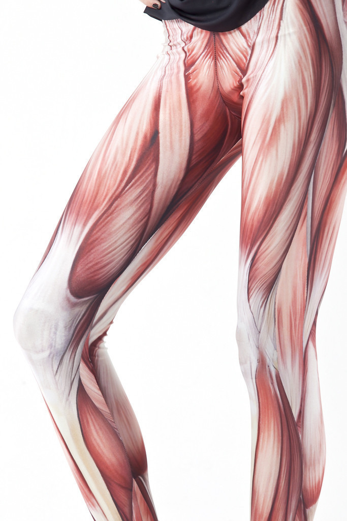 2014 Leggings for Women Muscles Black MIlk Leggings Plus Size pants FG1511