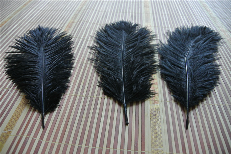 50pcs black Ostrich Feather Plume for Wedding centerpiece christmas feather wedding home festive table decor party supply5789213