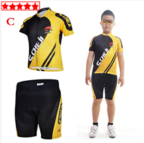 eroica bikes for sale